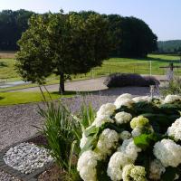 Le terrain de pétanque et de badminton